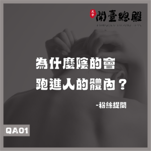 QA01粉絲提問