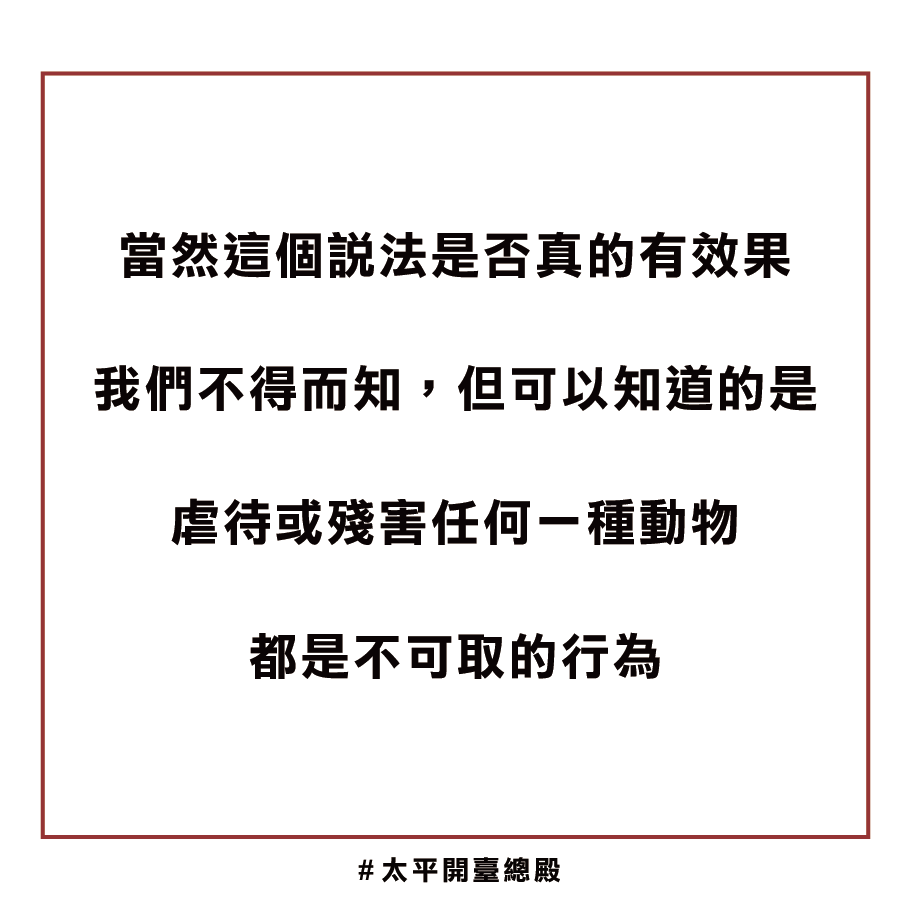 貓靈因果業障