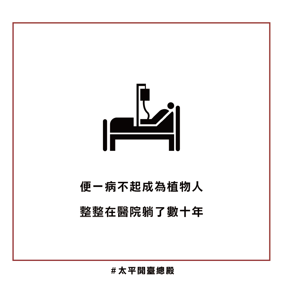 貓靈因果業障
