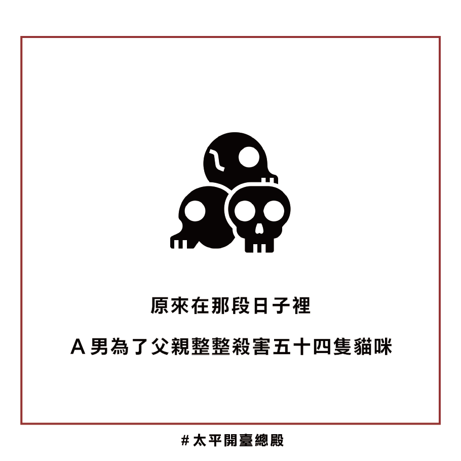 貓靈因果業障