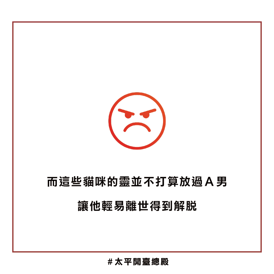 貓靈因果業障
