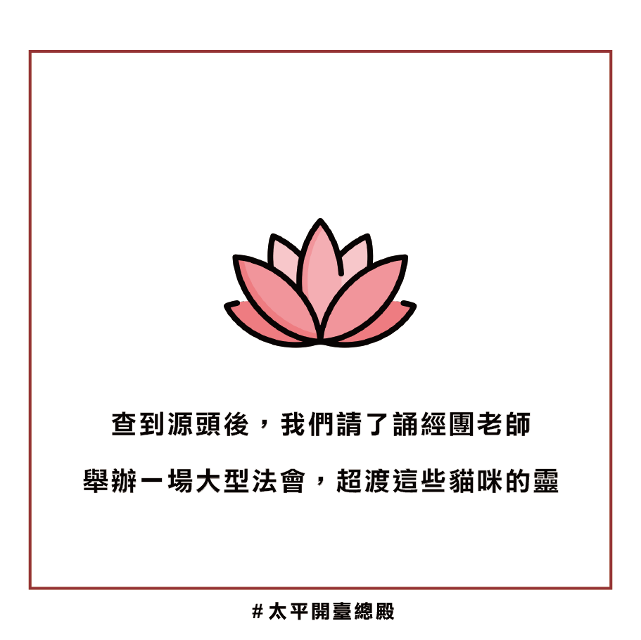 貓靈因果業障