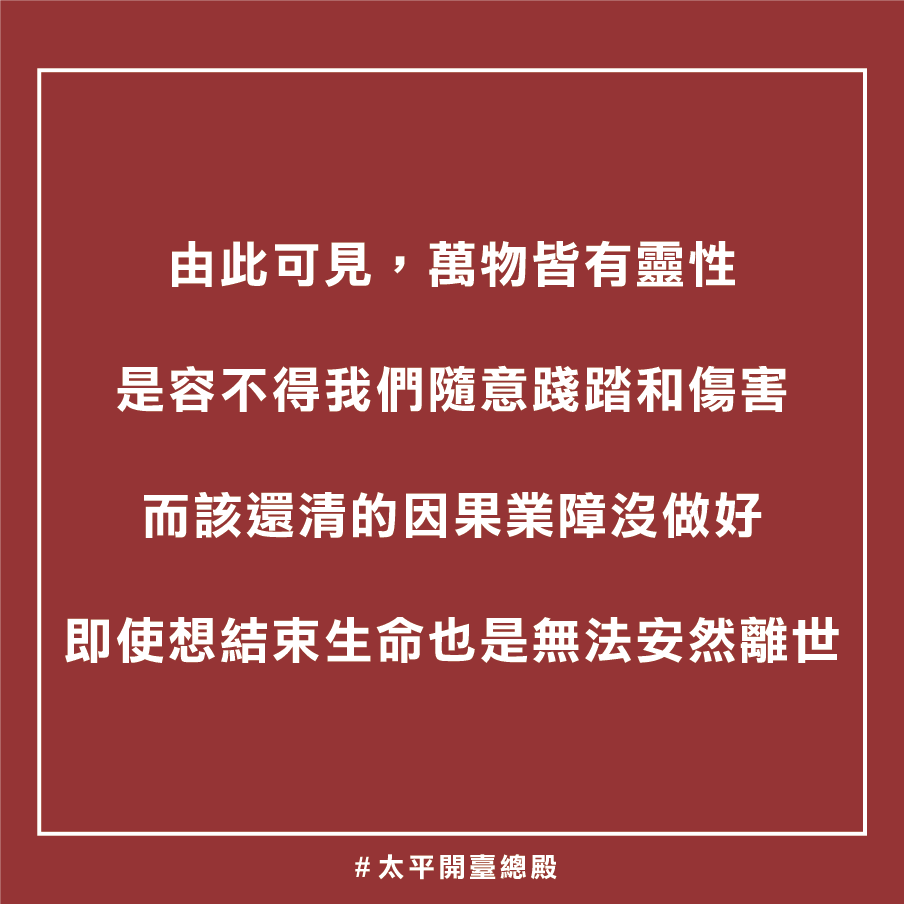 貓靈因果業障